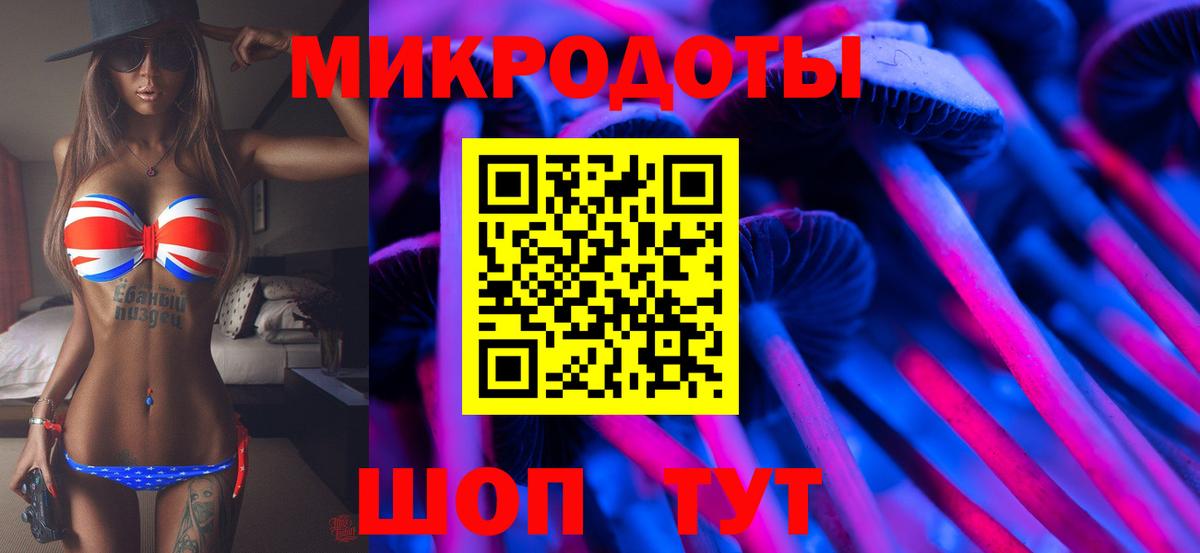 где найти   Вход с VPN  Геленджик  Псилоцибиновые грибы Psilocybe 